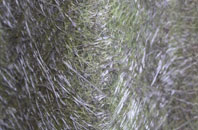 Dogley Lane fibreglass roof work